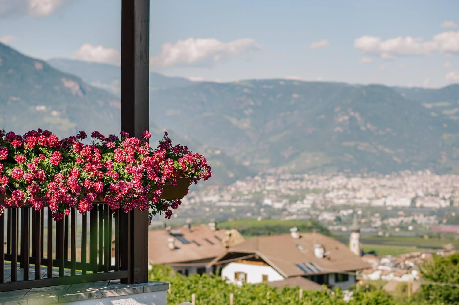 Strahlerhof Apartment Апиано сула Страда дел Вино Екстериор снимка